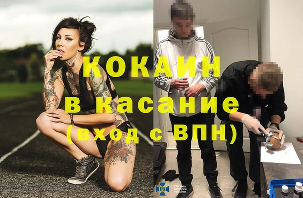 метадон Алексин