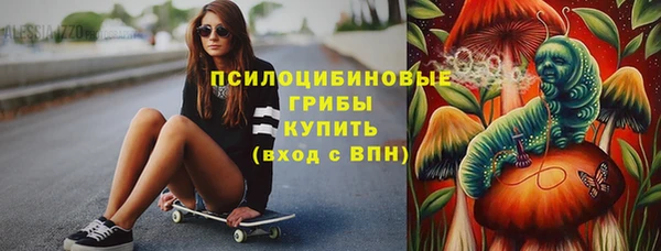 сатива Алексеевка