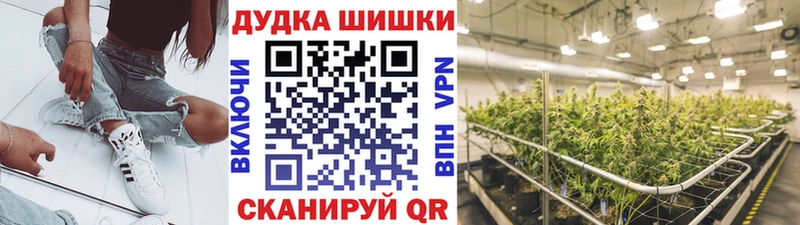 Бошки Шишки сатива  Кыштым 